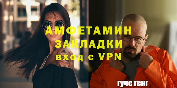 прущие грибы Иннополис