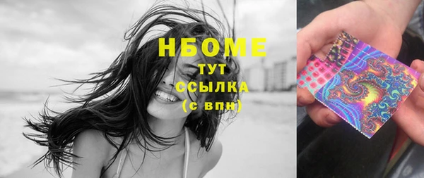 сатива Гусь-Хрустальный