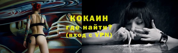 твердый Абаза