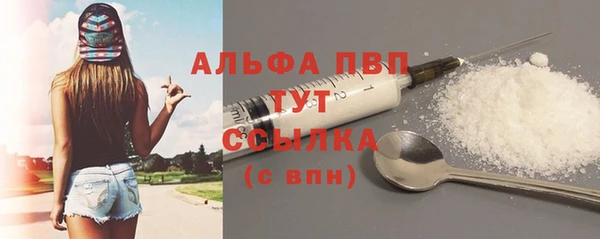 твердый Абаза