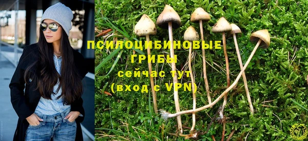 твердый Абаза
