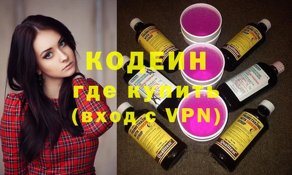 индика Корсаков