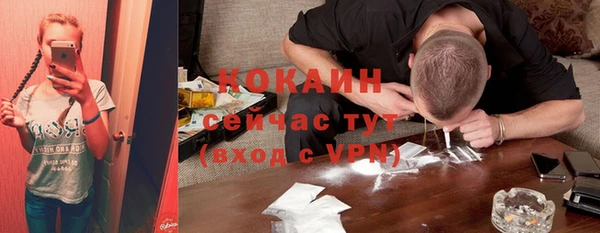 твердый Абаза