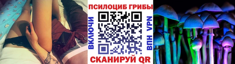 как найти закладки  Торопец  Псилоцибиновые грибы Psilocybe 